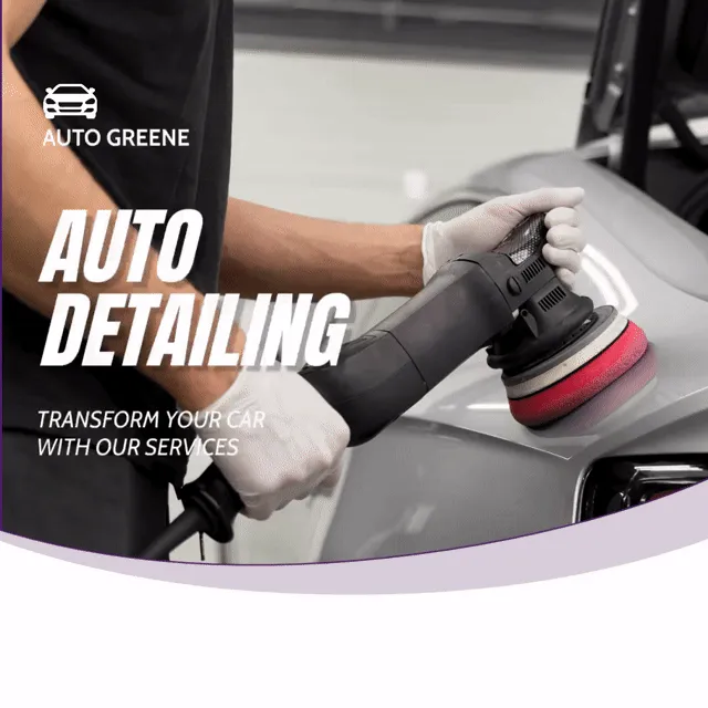 Professional car detailing service